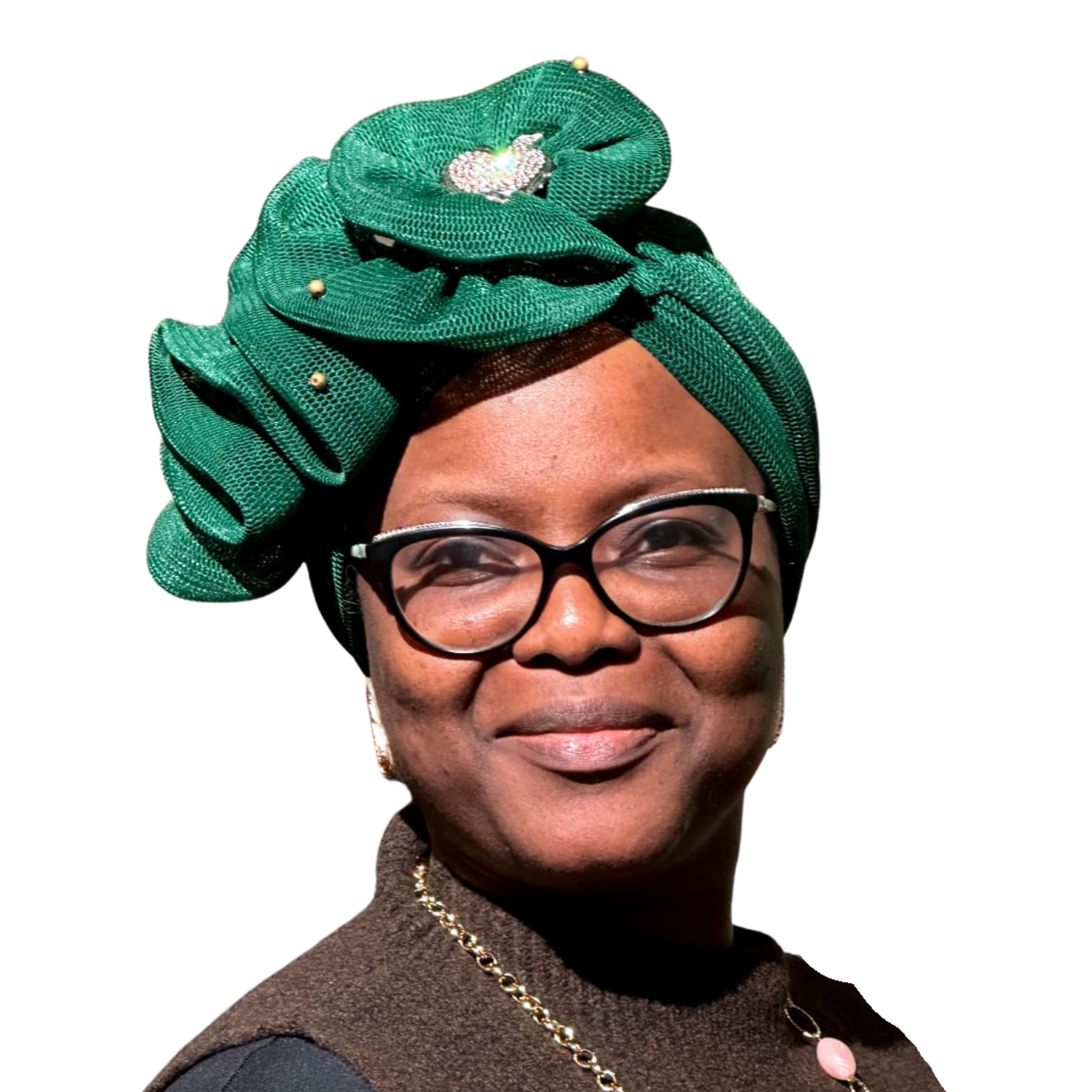 Vice-Président de l'ACIH